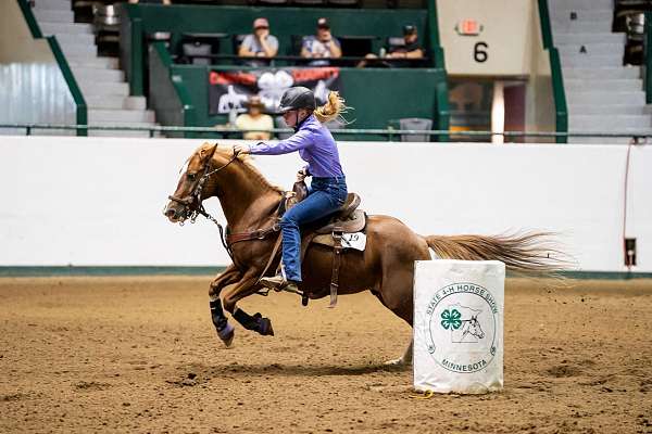 barrel-racing-pony