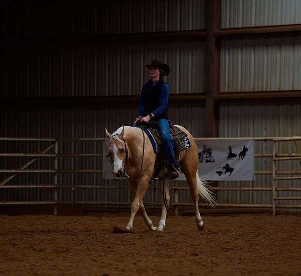 ranch-work-quarter-horse