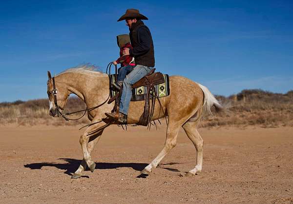 beginner-quarter-horse