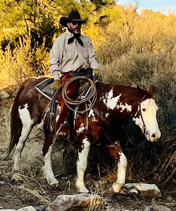 ranch-paint-horse