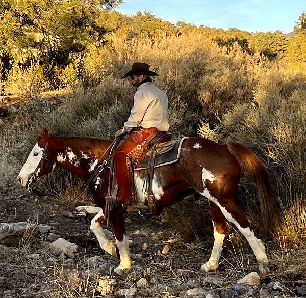 trail-riding-paint-horse