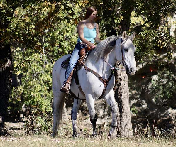 dressage-azteca-horse