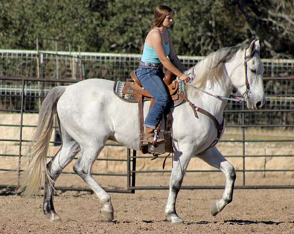 equitation-azteca-horse