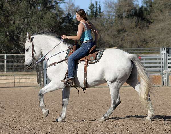 field-hunter-azteca-horse