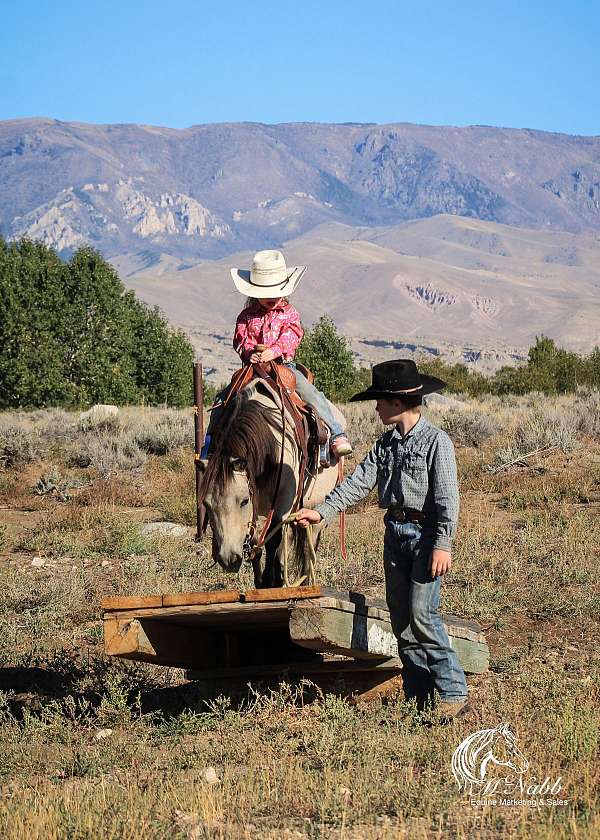 trail-obstacles-pony