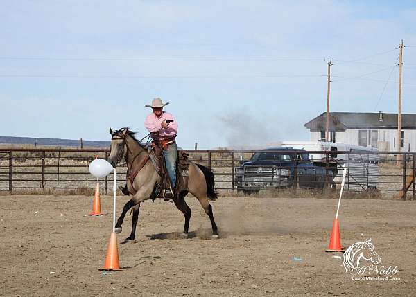 trail-obstacles-mare