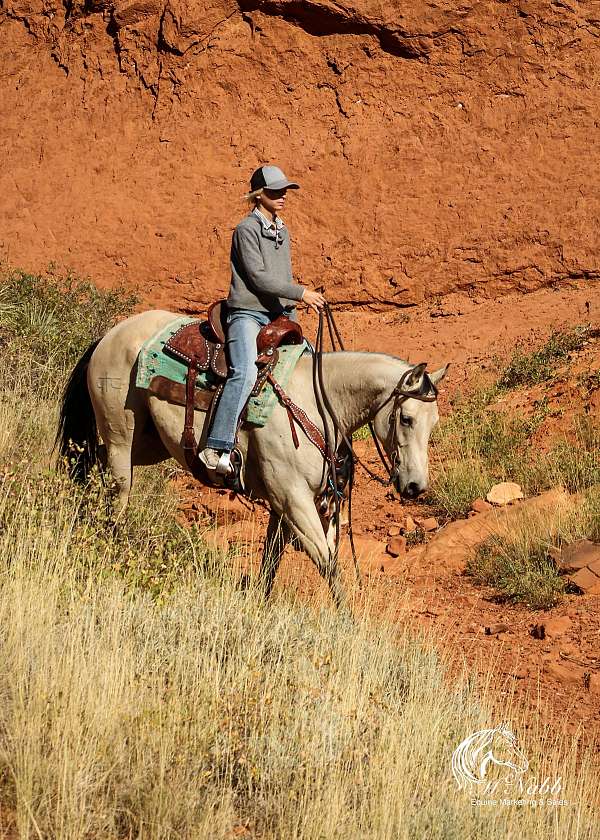 mountains-quarter-horse