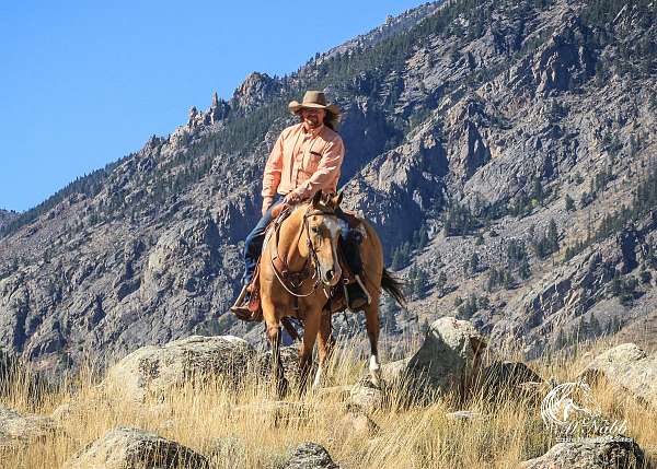 mounted-shooting-quarter-horse