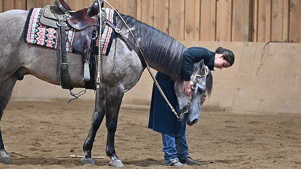 branding-pen-quarter-horse