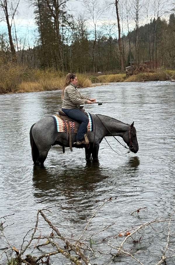 barrel-racing-quarter-horse