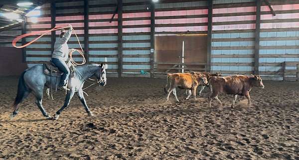 cowboy-mounted-shooting-quarter-horse