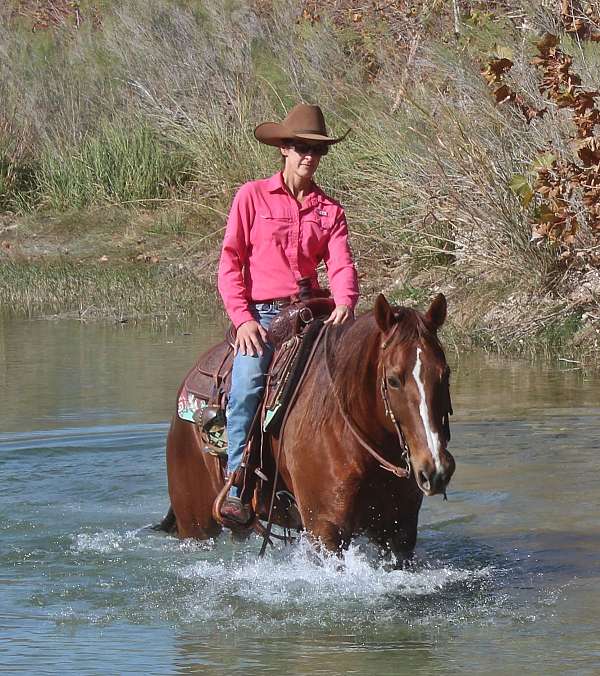 barrel-racing-quarter-horse