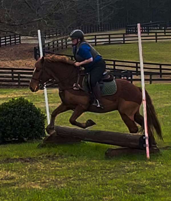 grandma-draft-horse