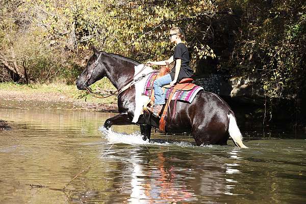 kid-safe-friesian-horse