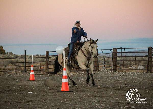 drill-team-quarter-horse