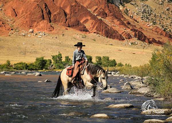 cowboy-mounted-shooting-quarter-horse