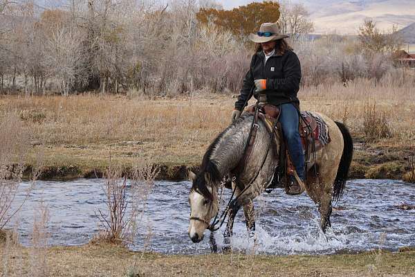 ranch-work-quarter-horse