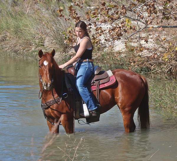 breeding-quarter-horse