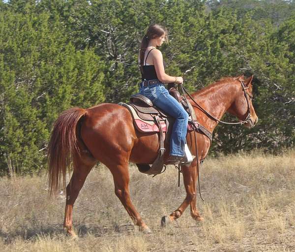 horsemanship-quarter-horse