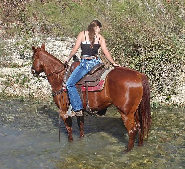 ranch-work-quarter-horse