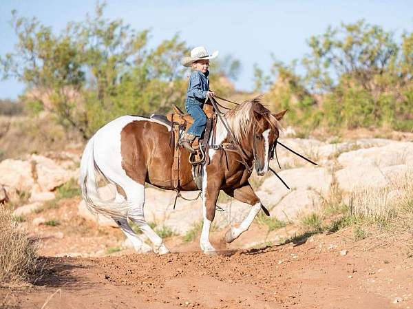 barrel-racing-pony