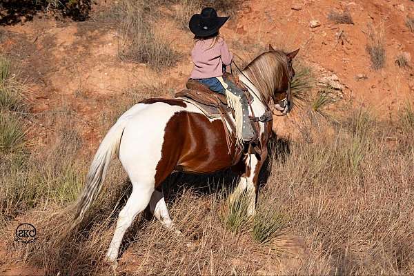 ranch-work-pony