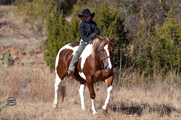 trail-riding-pony