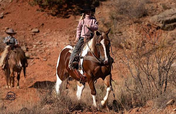 western-riding-pony