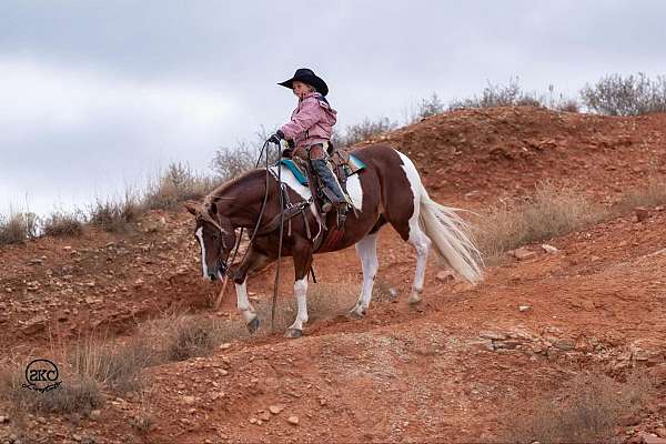 working-cattle-pony