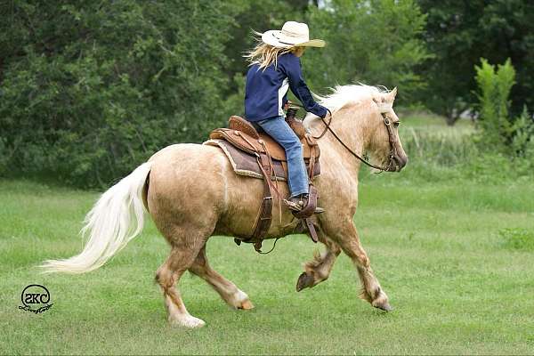 flashy-gypsy-vanner-pony