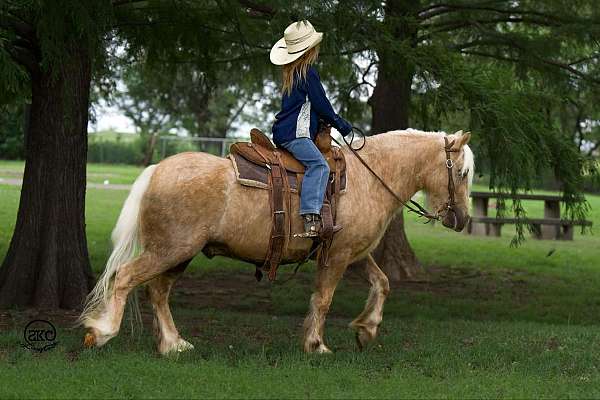 palomino-gypsy-vanner-gelding