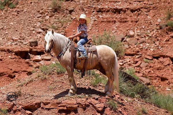 palomino-athletic-pony