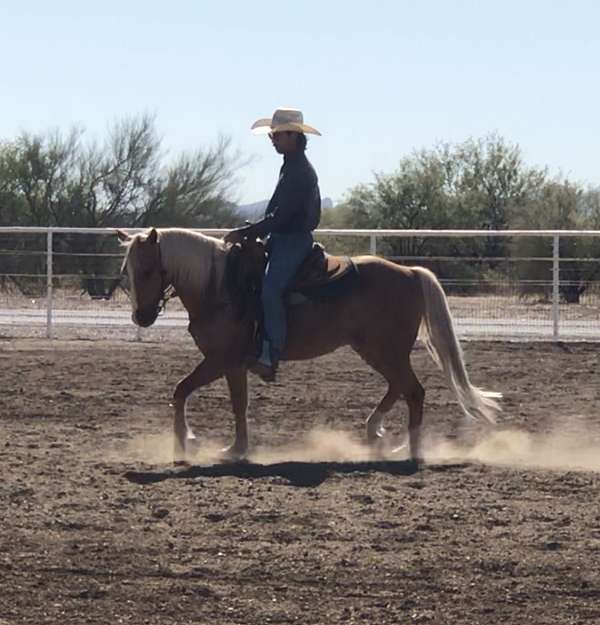 barrel-racing-quarter-pony