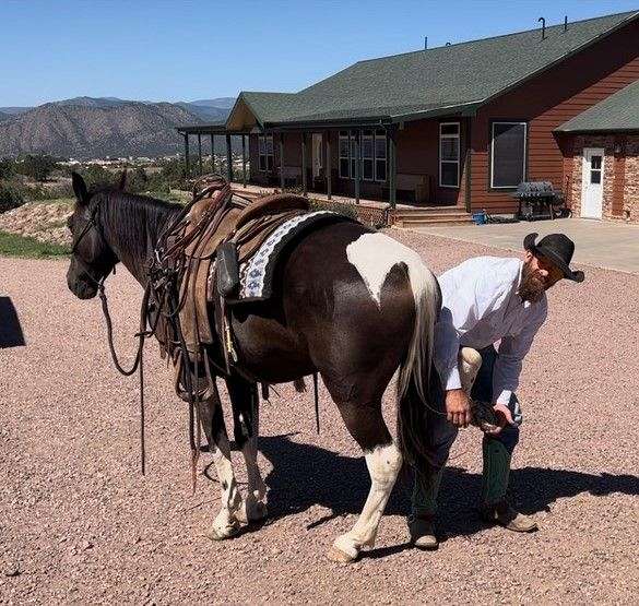 bred-tennessee-walking-pony