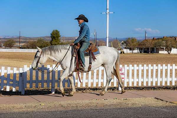 beginner-quarter-horse