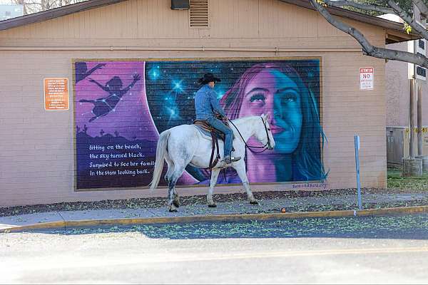 kid-safe-quarter-horse