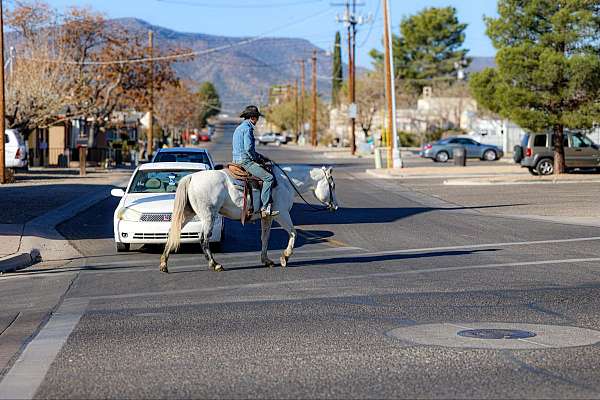 ranch-quarter-horse