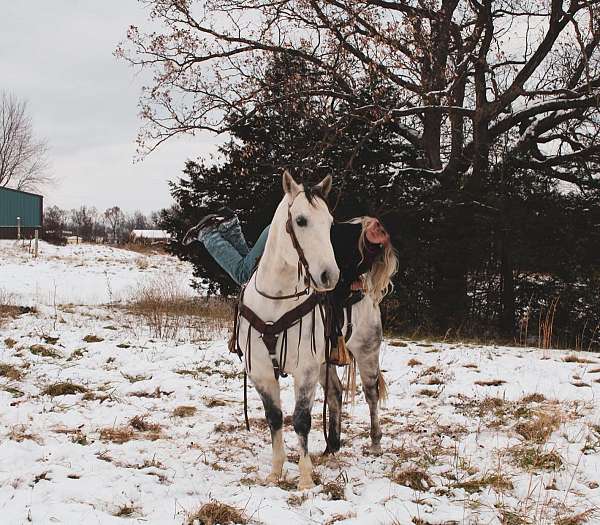 ranch-quarter-horse