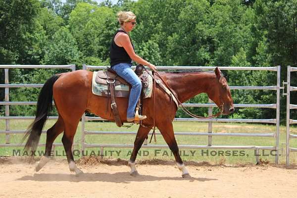 ranch-work-quarter-horse