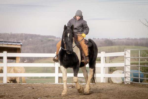 driving-horse