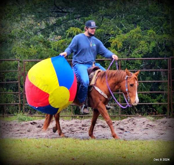 kids-quarter-horse