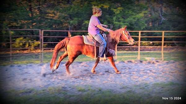 kids-quarter-horse