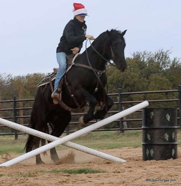 kid-safe-friesian-horse