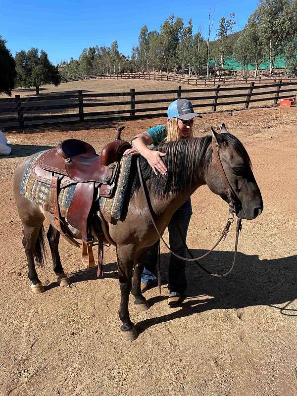 grulla-roping-pony