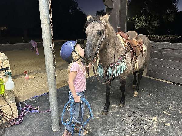 grulla-cutting-pony