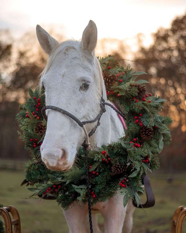 piggy-eye-spots-pony