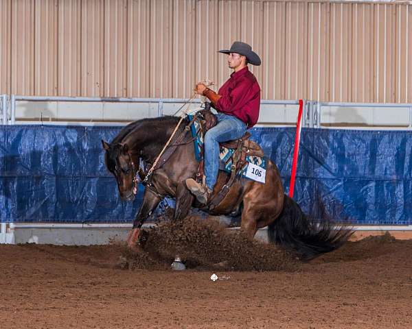 buckskin-left-fore-sock-horse