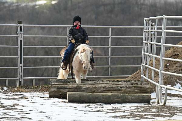 kid-safe-pony