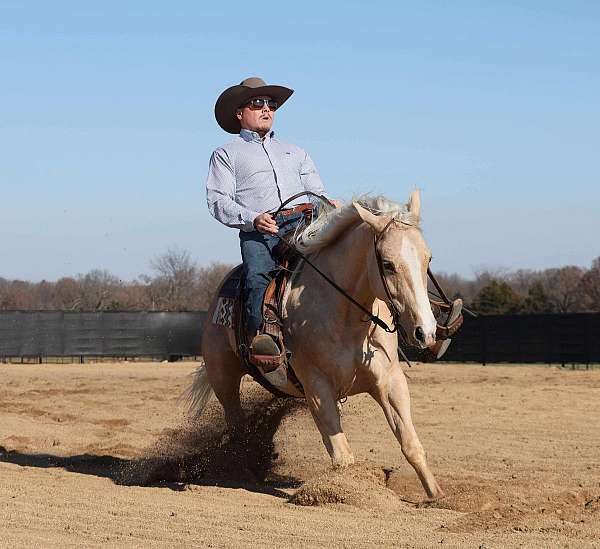 calf-roping-quarter-horse