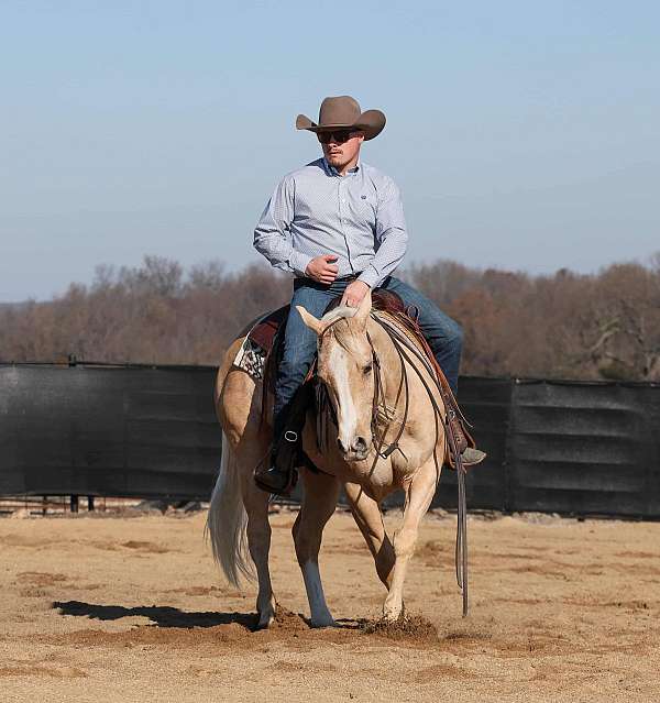 cowboy-mounted-shooting-quarter-horse